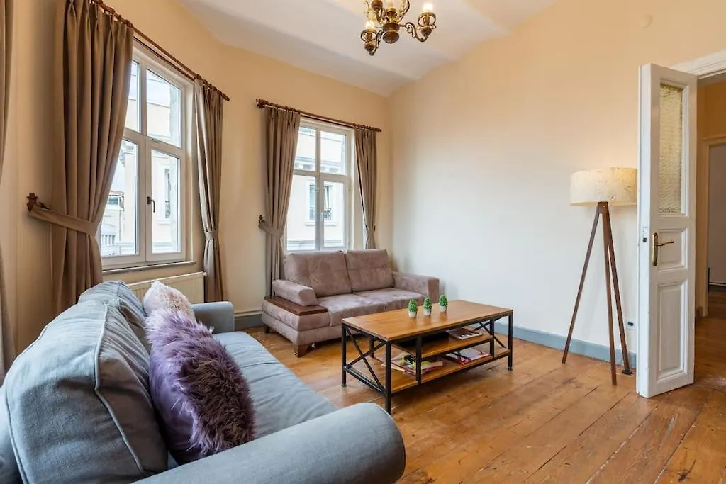 Historical, Comfy 2+1 Apartment İstanbul Türkiye